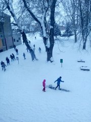 IMG_20180227_104503.jpg